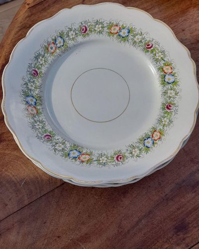 Antique William Ridgway son & co of Hanley - Clarendon shape sage green dessert service 1838 to 1848 - low relief moulded printed enamelled flowers 14 pieces