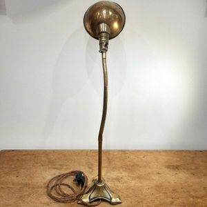Lamp complete back