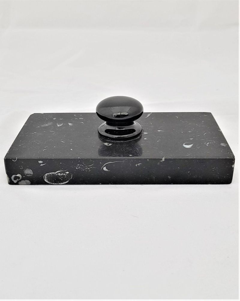 Antique fossilised polished black marble rectangular paperweight with black ceramic button handle 19th century circa 1899