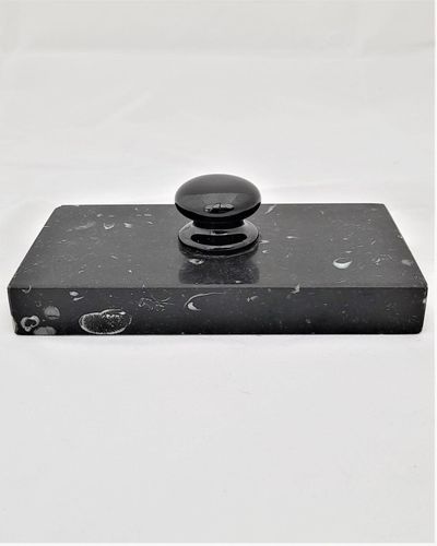 Antique fossilised polished black marble rectangular paperweight with black ceramic button handle 19th century circa 1899