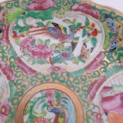 close up 1 of the bird cartouche on the saucer