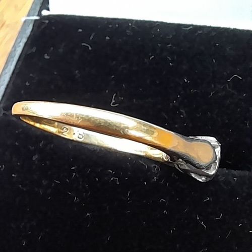 shank 2