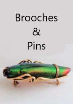 Brooches and pins click to view