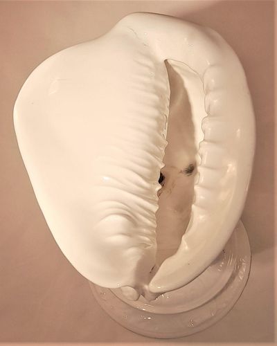 Antique Wedgwood White Porcelain Centrepiece - Fine Bone China Conch Shell sat Upon Coral on a round base - Victorian circa 1900 - 24.8 cm H 19 cm L