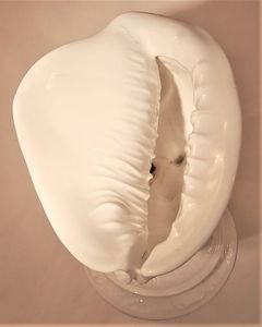 Antique Wedgwood White Porcelain Centrepiece - Fine Bone China Conch Shell sat Upon Coral on a round base - Victorian circa 1900 - 24.8 cm H 19 cm L