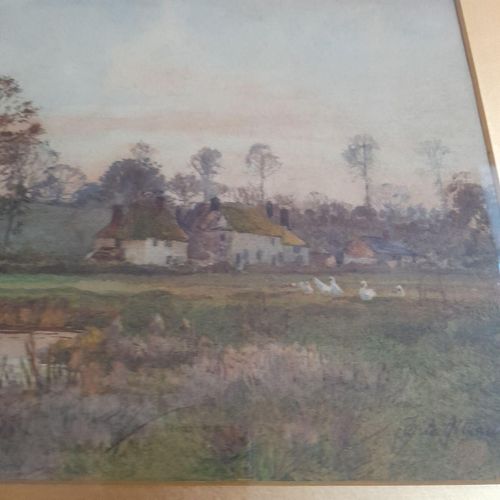 Close up of the cottages and birds