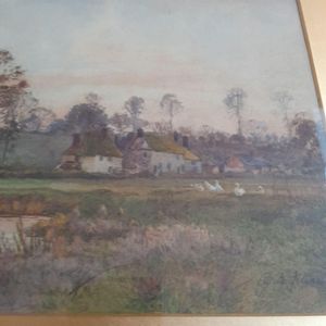 Close up of the cottages and birds