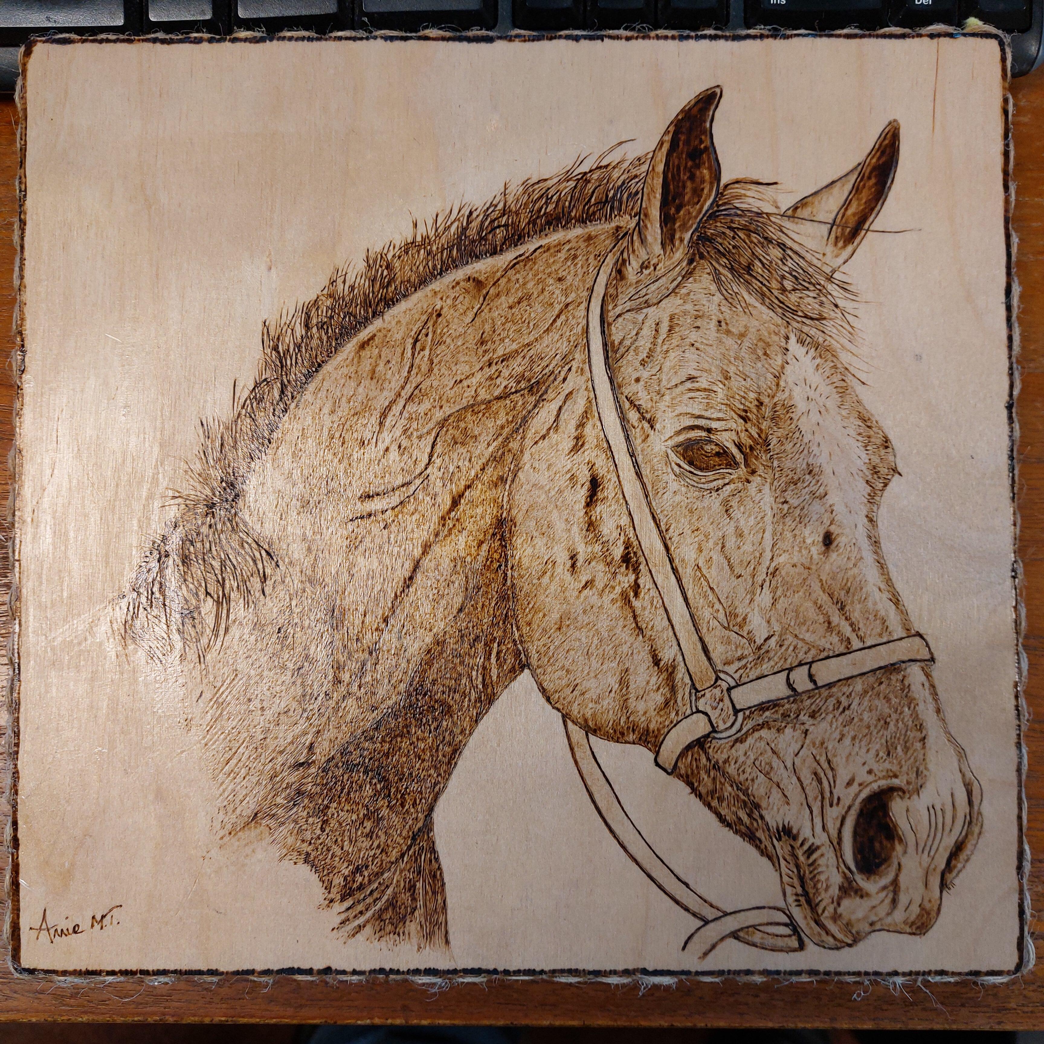 Pyrography drawing of horse head