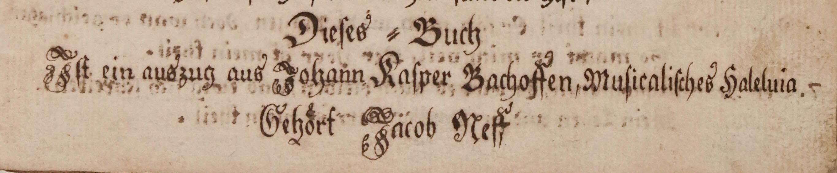 nef-dieses-buch.jpg