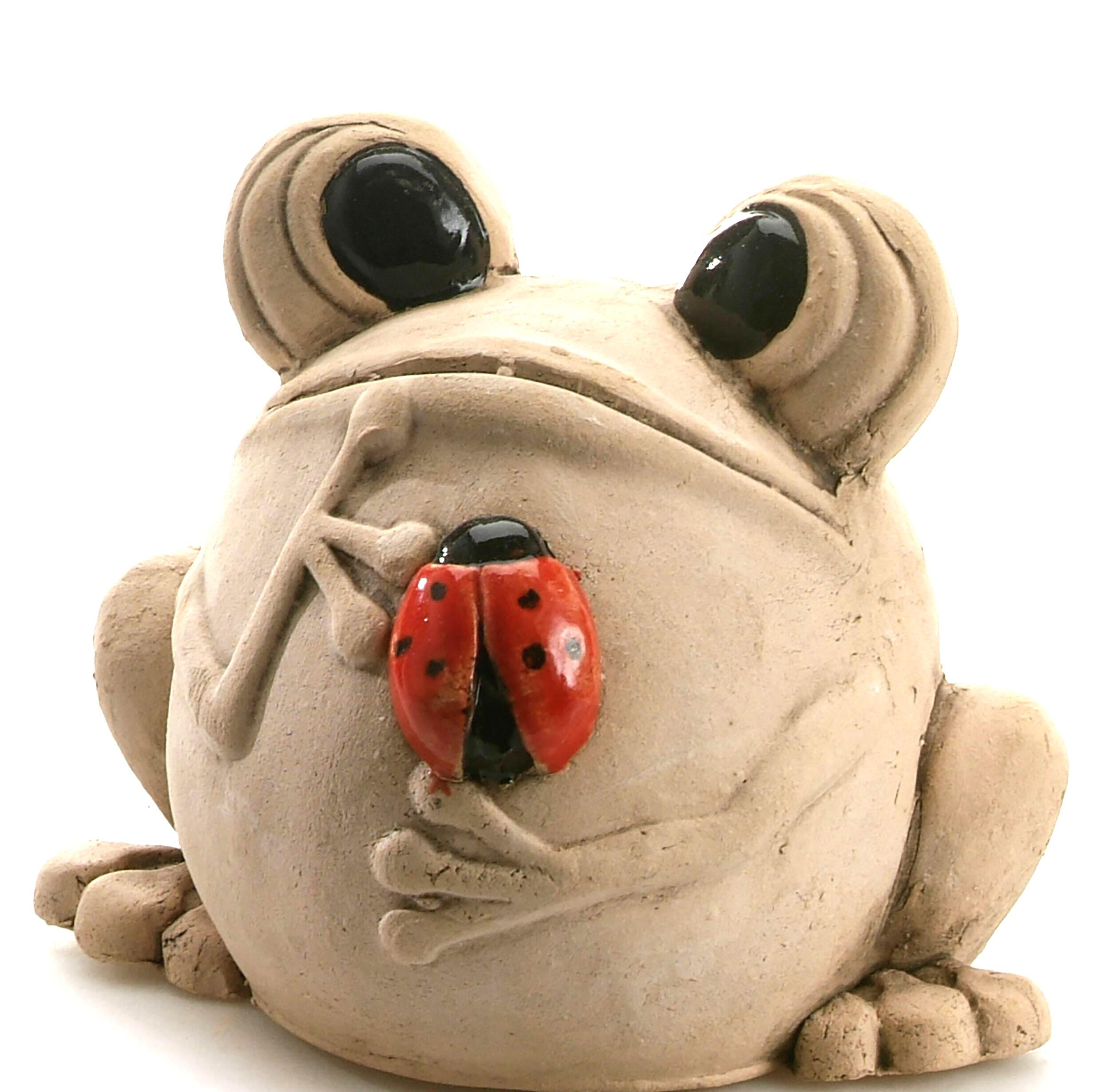 Handmade Ceramic Googly Eyed Frog with Ladybug