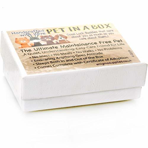 Pet in a Box | Ceramic Animal Gift for Kids | Mustard Dachshund