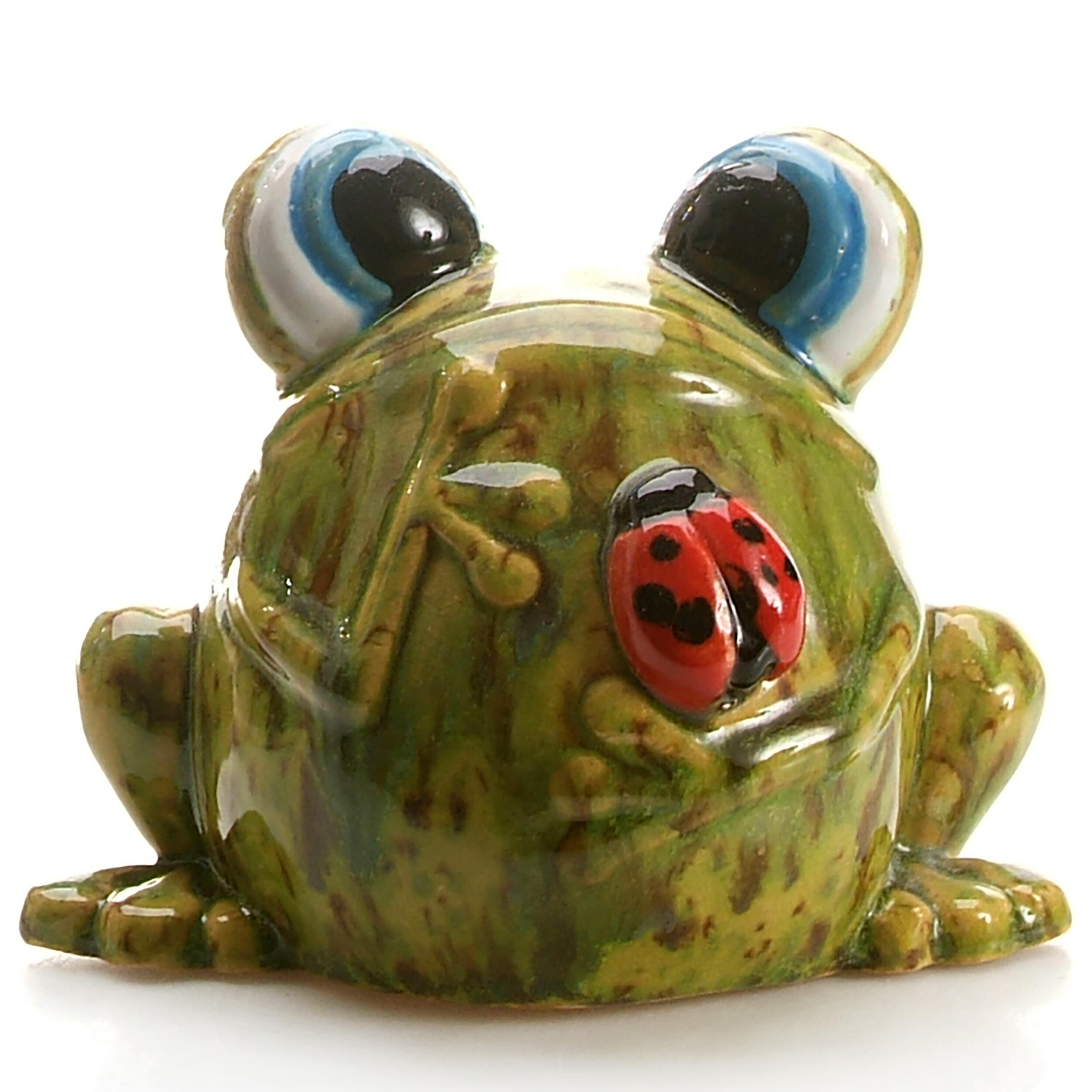 Handmade Ceramic Googly Eyed Frog with Ladybug