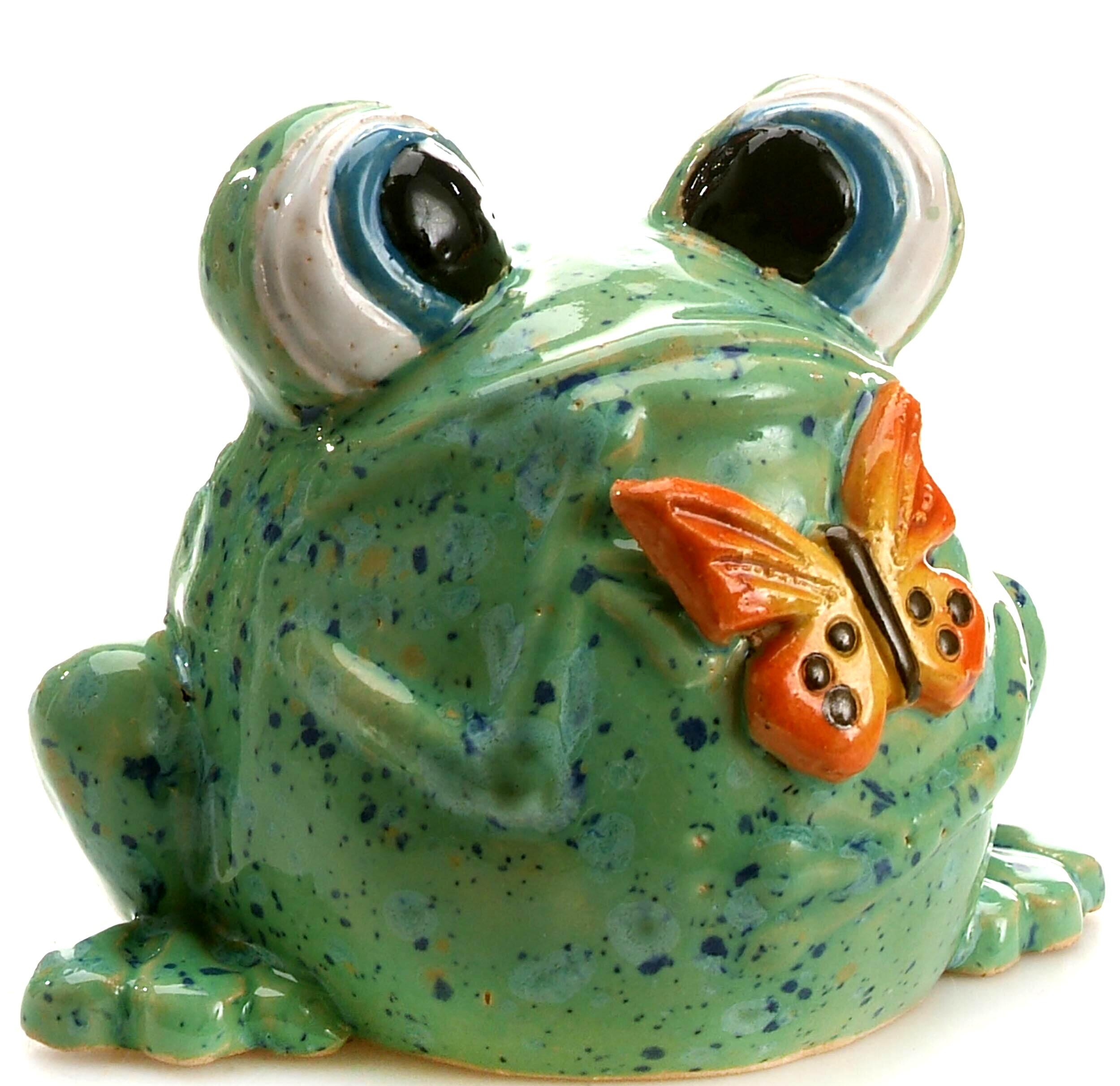 Quirky Googly Eyed Frog with Butterfly