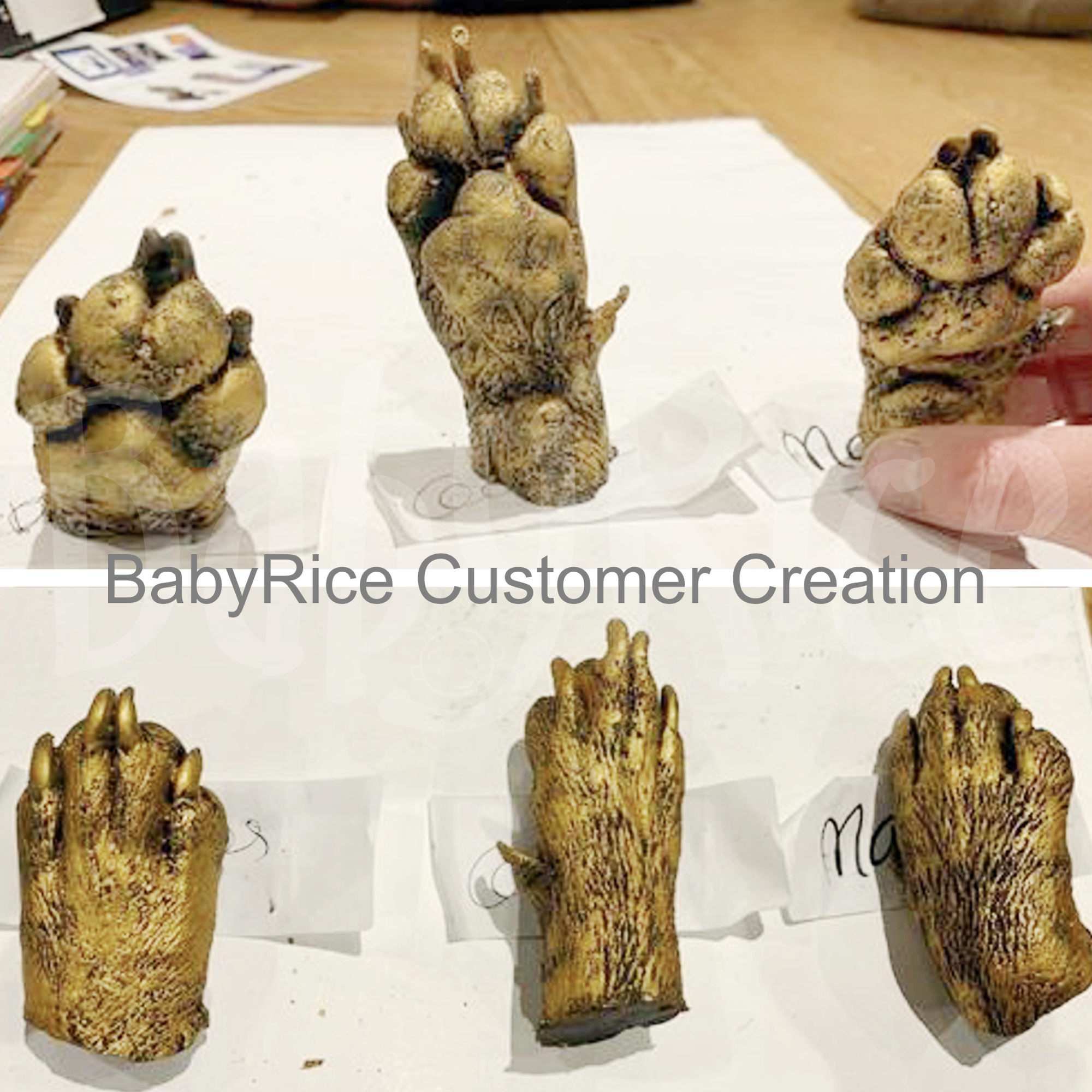 Paw Cast Made by a BabyRice Customer