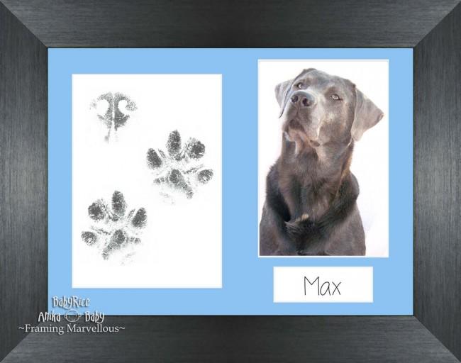 Pet Paw Prints Kit with Pewter Wooden Frame Blue Inserts