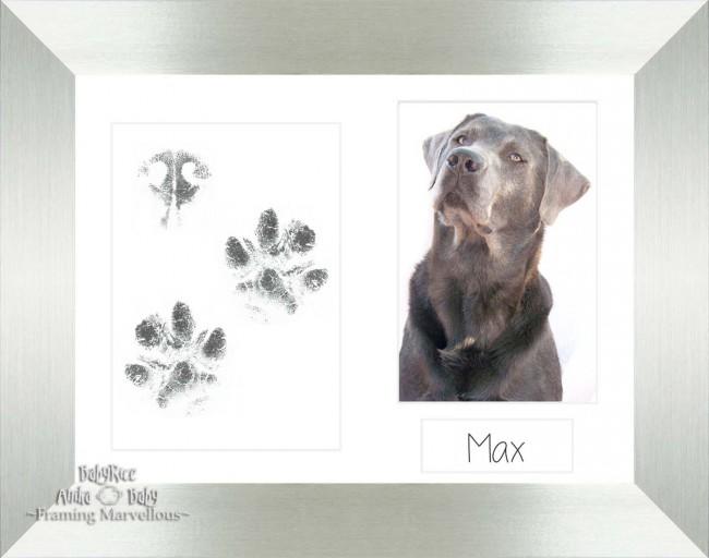 Pet Paw Prints Kit with Silver Wooden Frame White Insert