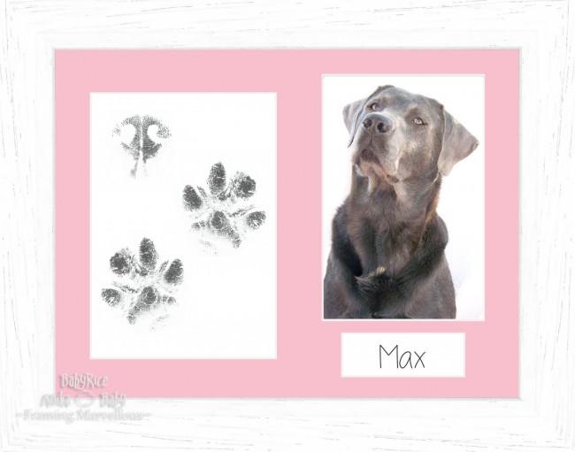 Pet Paw Prints Kit with White Woodgrain Wooden Frame Pink Insert