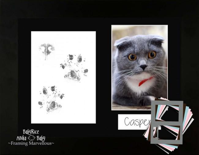 Cat Pet Paw Print Pawprints Kit Black Photo Picture Frame - Choose Mount Colour