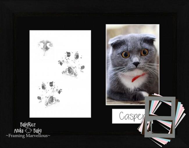 Cat Pet Paw Prints Kit with Coastal Wood Frame - Choose Mount Colour