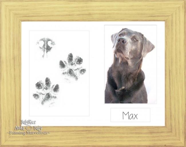 Pet Paw Prints Kit with Oak Effect Wooden Frame White Insert