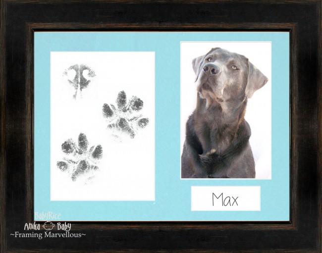 Pet Paw Prints Kit with Black Orange Wooden Frame Mott Blue insert