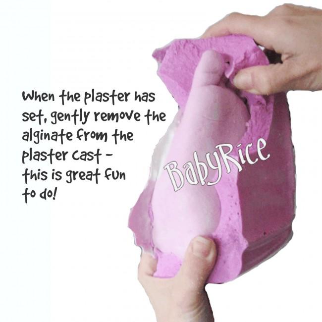 Remove Alginate from Plaster Cast