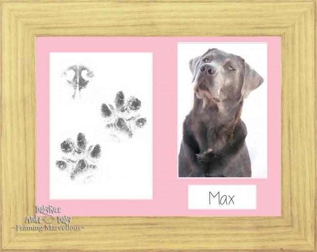 Pet Paw Prints Kit with Oak Effect Wooden Frame Pink Insert