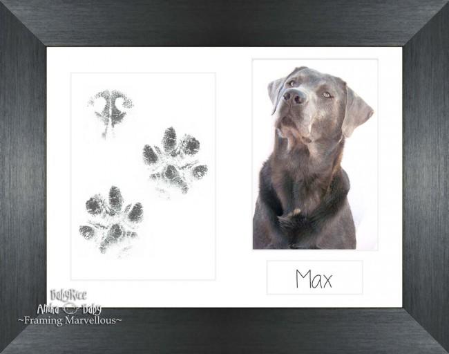 Pet Paw Prints Kit with Pewter Wooden Frame White Insert
