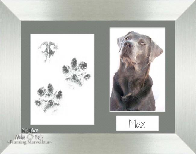 Dog Pawprint Kit with Silver Photo Frame