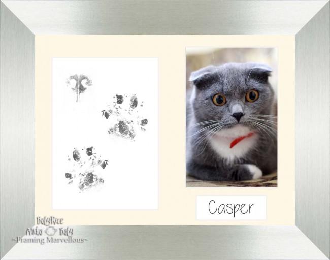 Cat Pet Paw Prints Kit with Brushed Silver Frame - Choose Mount Colour
