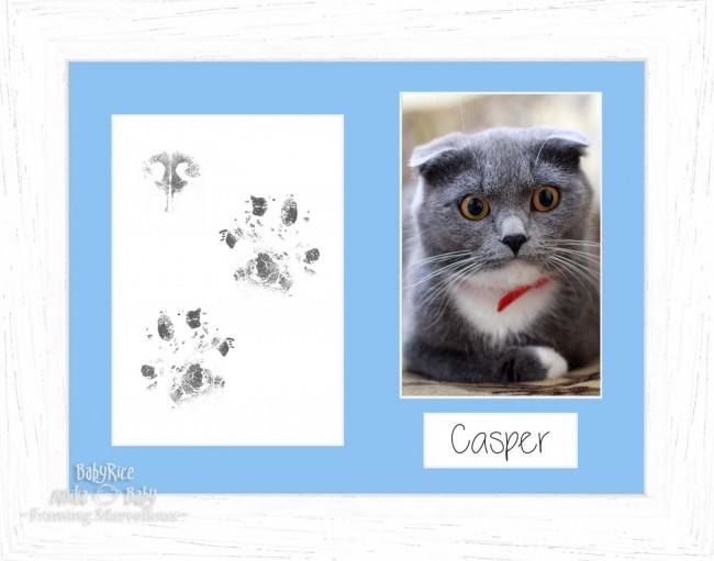 Cat Pet Paw Prints Kit with Coastal Woods White Frame - Choose Mount Colour