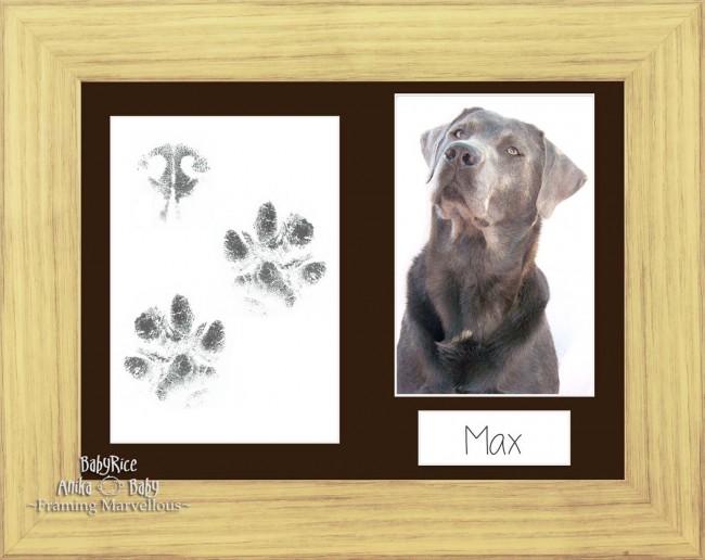 Pet Paw Prints Kit with Oak Effect Wooden Frame Brown Insert