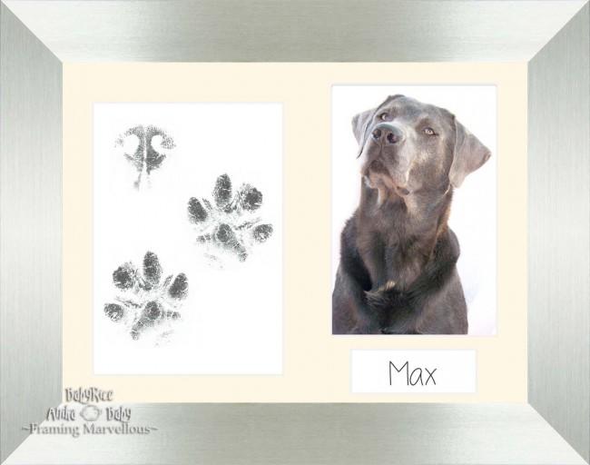 Pet Paw Prints Kit with Silver Wooden Frame Cream insert