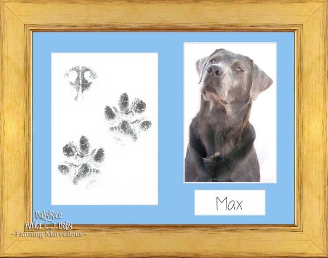 Pet Paw Prints Kit with Gold Wooden Frame Blue insert