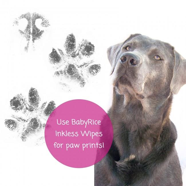 BabyRice inkless wipes can be used on pet paws too