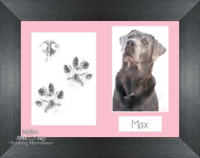 Pet Paw Prints Kit with Pewter Wooden Frame Pink Insert