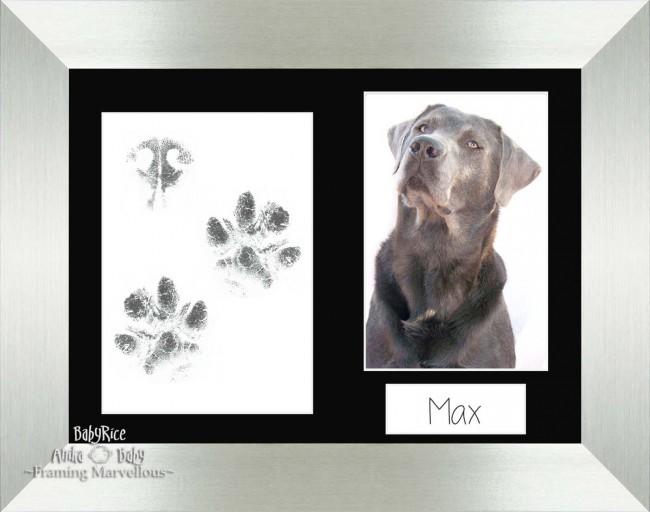 Pet Paw Prints Kit with Silver Wooden Frame Black Insert