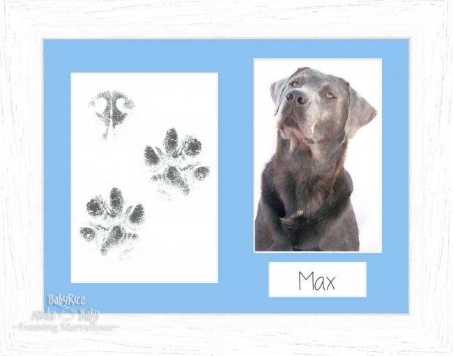 Pet Paw Prints Kit with White Woodgrain Wooden Frame Blue insert