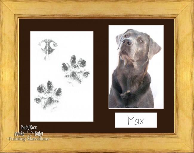Pet Paw Prints Kit with Gold Wooden Frame Brown Insert