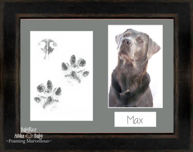 Pet Paw Prints Kit with Black Orange Wooden Frame Grey insert