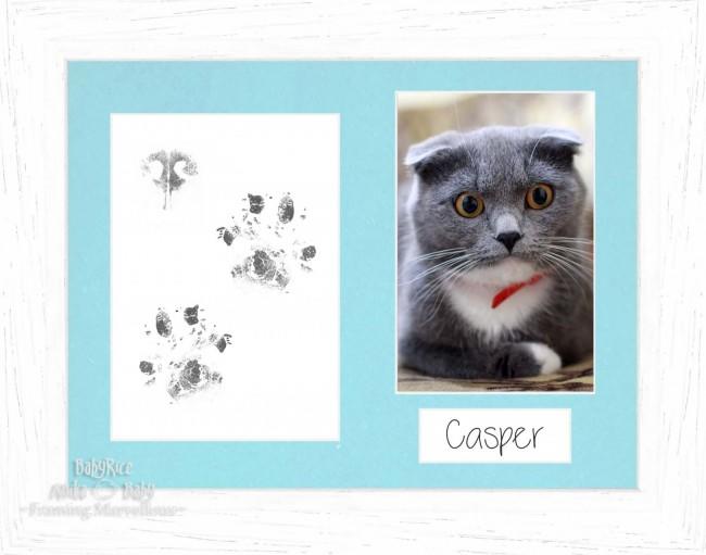Cat Pet Paw Prints Kit with Coastal Woods White Frame - Choose Mount Colour