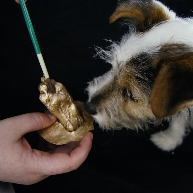 Woman painting paw cast with metallic paint