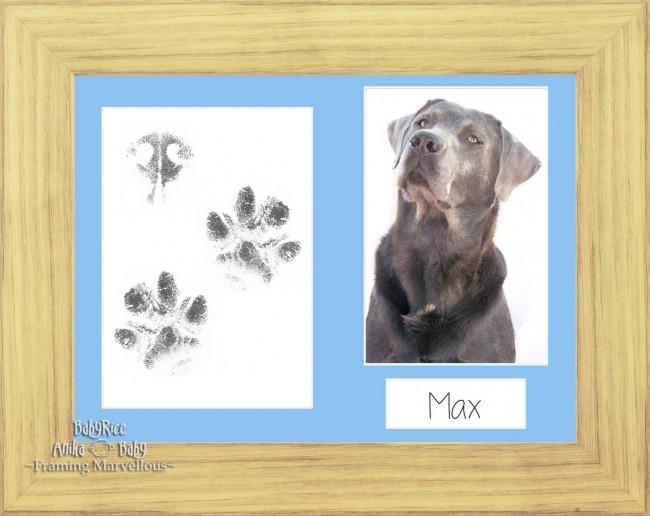 Pet Paw Prints Kit with Oak Effect Wooden Frame Blue insert