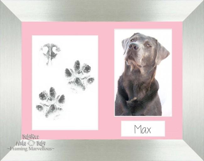 Pet Paw Prints Kit with Silver Wooden Frame Pink Insert