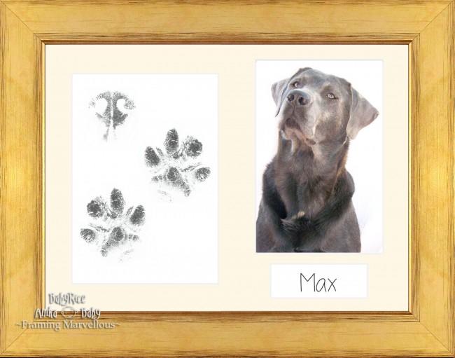 Pet Paw Prints Kit with Gold Wooden Frame Cream insert