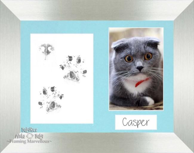 Cat Pet Paw Prints Kit with Brushed Silver Frame - Choose Mount Colour