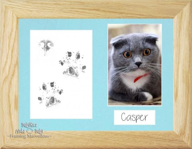 Cat Pet Paw Prints Kit with Solid Oak Frame - Choose Mount Colour