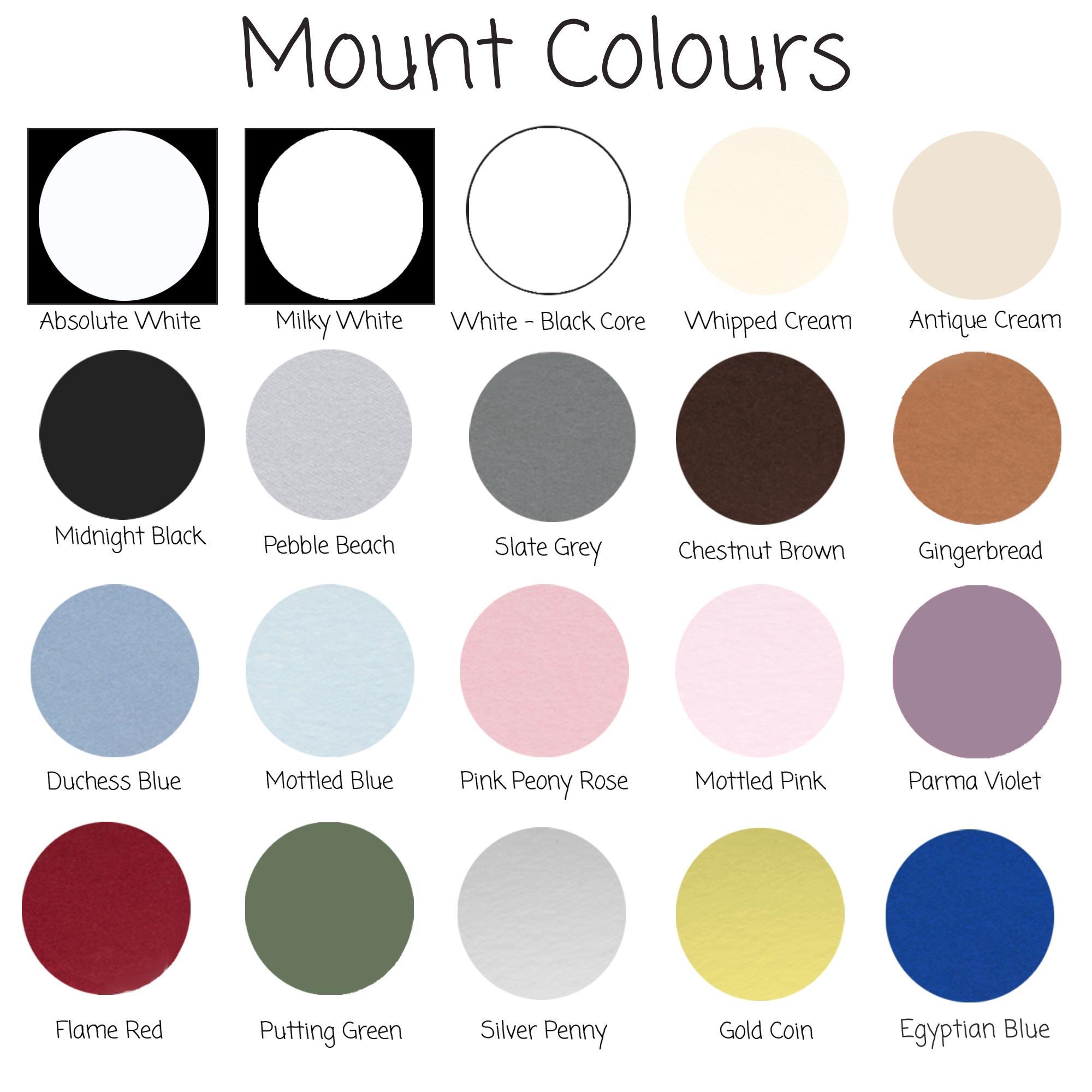Selection of Mount colours
