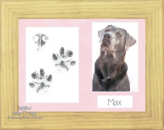 Pet Paw Prints Kit with Oak Effect Wooden Frame Mott Pink insert