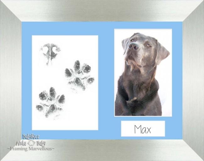 Pet Paw Prints Kit with Silver Wooden Frame Blue Inserts
